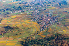 Herbstlich verfärbte Weinberge der Lage Kastanienbusch umsäumen das Siedlungsgebiet des Dorfes in Birkweiler im Bundesland Rheinland-Pfalz, Deutschland