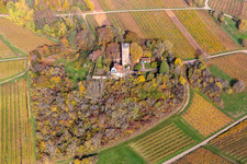 Herbstluftbild von Gebäude und Parkanlagen am Chateau Saint Paul auf dem Sonnenberg in Wissembourg in Grand Est im Bundesland Bas-Rhin, Frankreich