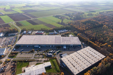 Gewerbegebiet Horst mit Magna Exteriors, Zufall Logistics, STS Group und Thermo Fisher im Ortsteil Minderslachen in Kandel im Bundesland Rheinland-Pfalz, Deutschland aus der Drohnenperspektive
