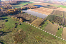 Schrägluftbild von Billigheimer Bruch, Erlenbachtal zwischen Barbelroth, Hergersweiler und Winden im Ortsteil Mühlhofen in Billigheim-Ingenheim im Bundesland Rheinland-Pfalz, Deutschland