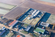 Schrägluftbild von Niederlauterbach im Bundesland Bas-Rhin, Frankreich