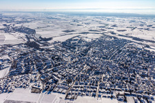 Luftaufnahme von Winterlich schneebedeckte Ortsansicht mit Straßen und Häusern der Wohngebiete in Bad Bergzabern im Bundesland Rheinland-Pfalz, Deutschland