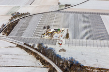 Winterluftbild im Schnee von Spargel- und Obsthof Gensheimer in Steinweiler im Bundesland Rheinland-Pfalz, Deutschland
