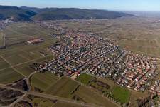 Ortsteil Mußbach in Neustadt an der Weinstraße im Bundesland Rheinland-Pfalz, Deutschland aus der Luft