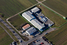 Raiffeisen-Markt, Anslinger, Lidl in Deidesheim im Bundesland Rheinland-Pfalz, Deutschland