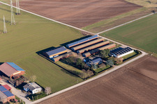 Luftbild von Aussiedlerhof Alsheimer Weg in Plankstadt im Bundesland Baden-Württemberg, Deutschland