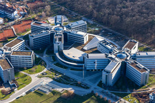 Schrägluftbild von Sternförmige Büro- und Geschäftshäuser der SAP Deutschland SE & Co. KG am Waldrand in Walldorf im Bundesland Baden-Württemberg