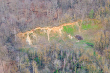 Luftbild von Abbruchkante im Wald im Ortsteil Ingenheim in Billigheim-Ingenheim im Bundesland Rheinland-Pfalz, Deutschland
