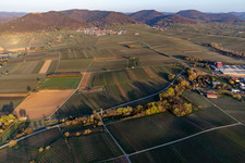 Aalmühl Tal vor Eschbach am Haardtrand in Göcklingen im Bundesland Rheinland-Pfalz, Deutschland