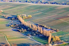 Hirtenbrunnerhof an der Aalmühl in Ilbesheim bei Landau im Bundesland Rheinland-Pfalz, Deutschland