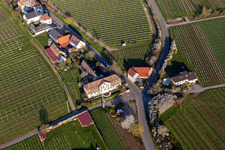 Herrenhaus des Gutshauses Meistersinger in Edenkoben im Bundesland Rheinland-Pfalz, Deutschland