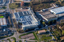 Luftbild von Ortsansicht der Straßen und Häuser der Wohngebiete in der vom Haardtrand des Pfälzerwalds umgebenen Rheinebene in Edenkoben im Bundesland Rheinland-Pfalz, Deutschland