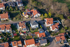 Robert-Koch-Straße in Bellheim im Bundesland Rheinland-Pfalz, Deutschland