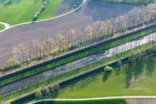 Dreisam im Ortsteil Buchheim in March im Bundesland Baden-Württemberg, Deutschland