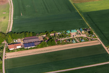 Gehegeweg in Altdorf im Bundesland Rheinland-Pfalz, Deutschland