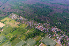Im Lustjagen im Ortsteil Iggelheim in Böhl-Iggelheim im Bundesland Rheinland-Pfalz, Deutschland