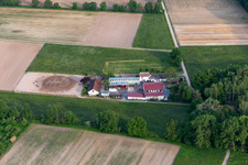 Damian GmbH in Gommersheim im Bundesland Rheinland-Pfalz, Deutschland