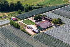 Schrägluftbild von Spargel und Obsthof Gensheimer in Steinweiler im Bundesland Rheinland-Pfalz, Deutschland
