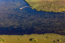 Luftbild von Federsee, Kanzach,  Aussichtsspunkt Federseesteg in Bad Buchau im Bundesland Baden-Württemberg, Deutschland