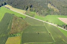 Ortsteil Wassers in Wolfegg im Bundesland Baden-Württemberg, Deutschland