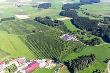 Baumschule in Oberstocken im Ortsteil Unterstocken in Bergatreute im Bundesland Baden-Württemberg, Deutschland