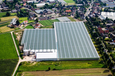 Glasdach- Flächen in den Gewächshausreihen von Paul, Marcel und Jolanda van den Broek GmbH & Co. KG im Ortsteil Broekhuysen in Straelen im Bundesland Nordrhein-Westfalen, Deutschland