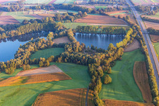 Rheinzabern im Bundesland Rheinland-Pfalz, Deutschland von oben