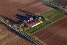 Ferienhaus Birkenhof im Ortsteil Niederlustadt in Lustadt im Bundesland Rheinland-Pfalz, Deutschland