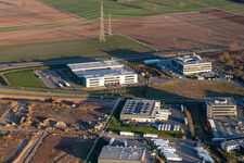 Eizo, MTS Group,  TRANSAC Intern. Speditionsgesellschaft mbH in Rülzheim im Bundesland Rheinland-Pfalz, Deutschland