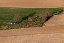 Der kleinste Weinberg des Elsaß in Niederlauterbach im Bundesland Bas-Rhin, Frankreich