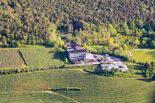 Hotel Haus am Weinberg im Ortsteil SaintMartin in Sankt Martin im Bundesland Rheinland-Pfalz, Deutschland