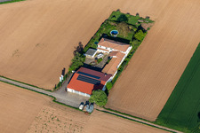 Schrägluftbild von Bioland Weingut Neuspergerhof in Rohrbach im Bundesland Rheinland-Pfalz, Deutschland