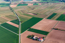 Bioland Weingut Neuspergerhof in Rohrbach im Bundesland Rheinland-Pfalz, Deutschland aus der Luft