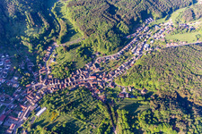 Schwanheim im Bundesland Rheinland-Pfalz, Deutschland von oben