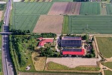 Hühnerhof - Eierfarm an der A65 in Erlenbach bei Kandel im Bundesland Rheinland-Pfalz, Deutschland