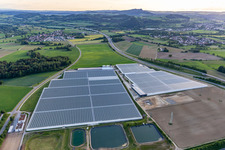 Luftaufnahme von Reichenauer Gärtnersiedlung in Beuren an der Aach in Singen im Bundesland Baden-Württemberg, Deutschland