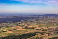 Südpfalz Panorama Viestrich und Bienwald in Freckenfeld im Bundesland Rheinland-Pfalz, Deutschland