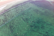 Luftaufnahme von Auf die Welle wartende Surfer vor dem Plage la Torche-Tronoën in Plomeur im Bundesland Finistère, Frankreich