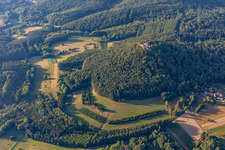 Burgruine Lindelbrunn in Vorderweidenthal im Bundesland Rheinland-Pfalz, Deutschland von einer Drohne aus