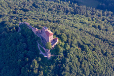 Burg Trifels in Annweiler am Trifels im Bundesland Rheinland-Pfalz, Deutschland vom Flugzeug aus