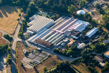 Luftbild von Reiner Schehlmann in Schifferstadt im Bundesland Rheinland-Pfalz, Deutschland