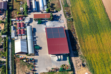 Drohnenaufname von Biohof Kugelmann in Kandel im Bundesland Rheinland-Pfalz, Deutschland