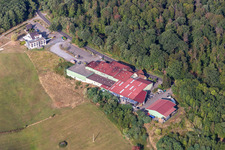 Cave Vinicole de Cléebourg in Rott im Bundesland Bas-Rhin, Frankreich