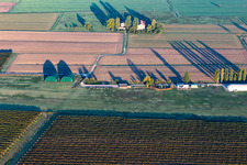 AVIOSUPERFICIE CASTELLAZZO scuola volo a vela in Reggio nell’Emilia im Bundesland Reggio Emilia, Italien