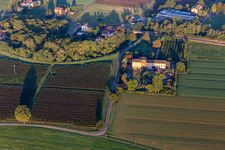 Tutto Lambretta Classic Scooter snc di Ferretti Orietta e C in Reggio nell’Emilia im Bundesland Reggio Emilia, Italien