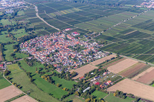 Venningen im Bundesland Rheinland-Pfalz, Deutschland aus der Luft
