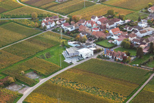 Vinothek Weingut Sauer in Nußdorf in Landau in der Pfalz im Bundesland Rheinland-Pfalz, Deutschland