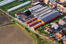 Am Otterbach in Neupotz im Bundesland Rheinland-Pfalz, Deutschland