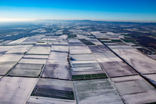 Windkraftanlagen im Winter bei Schnee in Minfeld im Bundesland Rheinland-Pfalz, Deutschland