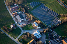 Luftbild von Solarfeld an Hainbachtal in Böchingen im Bundesland Rheinland-Pfalz, Deutschland